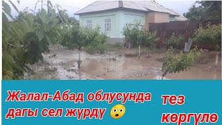 Жалал-Абад облусунда дагы сел жүрдү  тез көргүлө