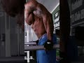 Lower abs workout  chest dips 