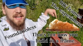 DIY Frames - Foundationless Beekeeping - The experiment