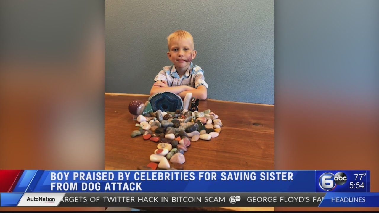 6-year-old boy saves younger sister from charging dog