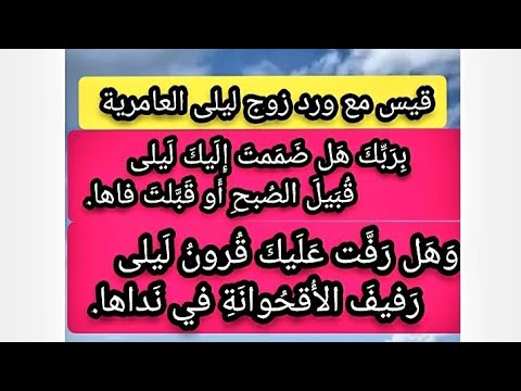ليلى العامريه وقيس بن الملوح مجنون ليلى ماذا قال قيس لزوج ليلى ورد عندما التقى معه