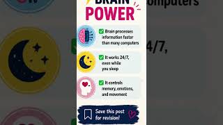 Amazing Human Brain Facts in 30 Seconds#LearnWithJanu #BrainFacts #ScienceFact#StudyNotes #Education