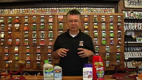 Fruit Tree Sprays are Critical