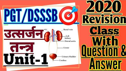 #उत्सर्जनतंत्र#EXCRETORYSYSTEM#PGT/DSSSB/LT/NTPC/UPSSSCJE/RRBJE/SSCJE/BED/RPSC/GIC/KVS/NET/JRF