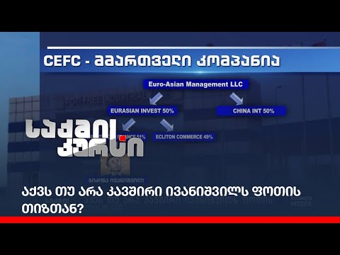 აქვს თუ არა კავშირი ივანიშვილს ფოთის თიზთან?