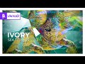 IVORY - Sea Turtles [Monstercat Release]