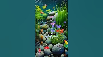 #من أذكار الصباح والمساء #اكسبلور #دعاء #اذكار