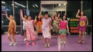 🎶 Koi Mil Gaya - Shah Rukh Khan | ZUMBA DANCE | DANCE FITNESS | Choreo by @aghamighim2575 🎶