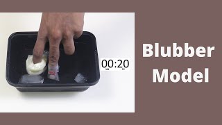 Blubber Model | ThinkTac