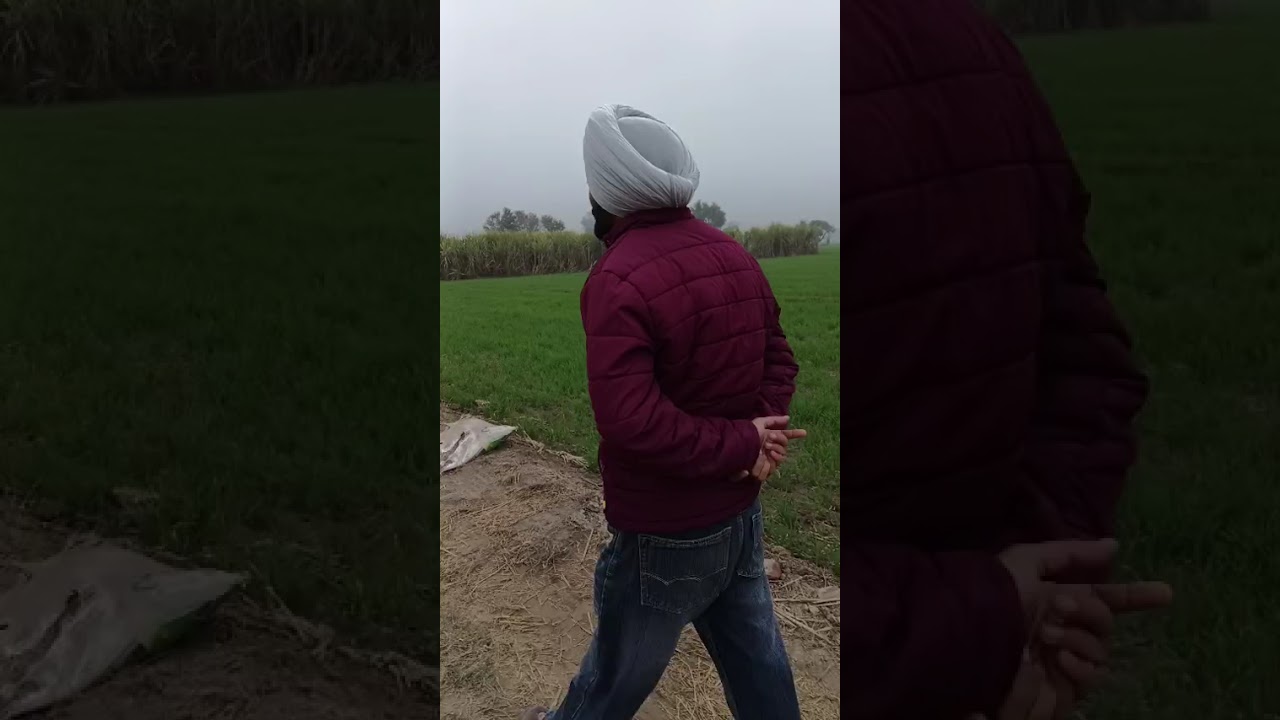 Scooter sikha bhuchra 😂😂. Funny video Fun new song