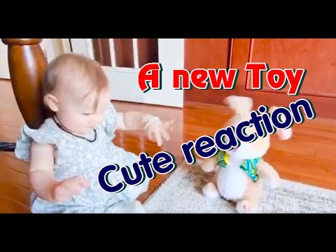 Cute reaction when a baby has a new toy || Funny baby video