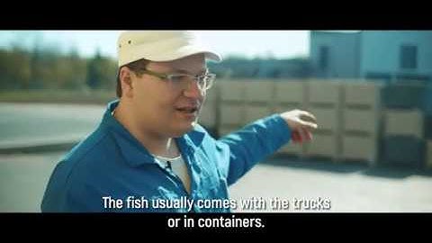 Haarslev Solutions - Esto Fish, Estonia