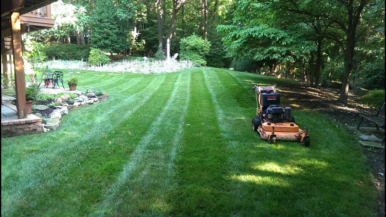 The Landscape Design Process/More Mowing with Scags! Kane Week 8
