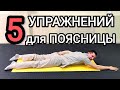 5 лечебных упражнений при боли в пояснице