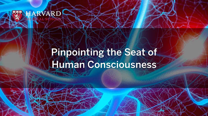 Pinpointing the Seat of Human Consciousness - DayDayNews