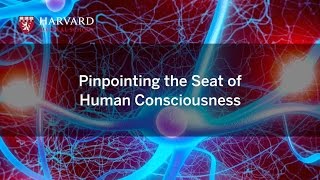 Pinpointing the Seat of Human Consciousness