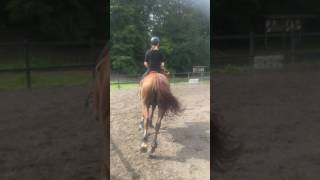 IMG 4255