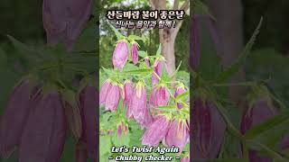#산들바람 불어 좋은날 #신나는 음악과 함께#여름꽃 축제#걷기 딱 좋은 날#Let&#39;s Twist Again#활짝핀 여름꽃#여름꽃 활짝#둘레길  여름꽃