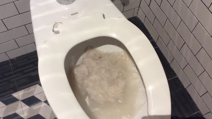 Airport toilet clogged with the most unusual item - DC Annis Sewer