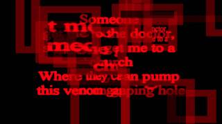 Vampires will never Hurt You - My Chemical Romance ~Lyrics~