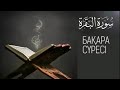 Бақара сүресі. Сура Аль-Бакара. Бұл сүре оқылған үйден шайтандар қашады.