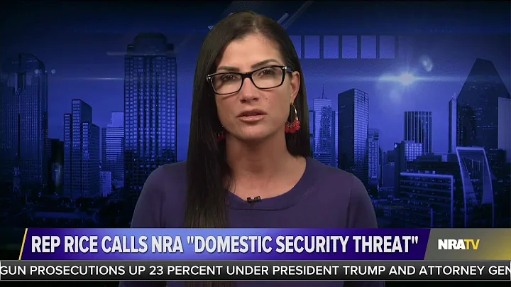 Dana Loesch Responds to Rep. Kathleen Rice Labelin...