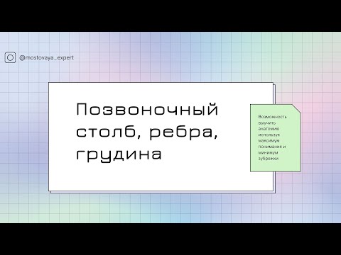 Кости осевого скелета