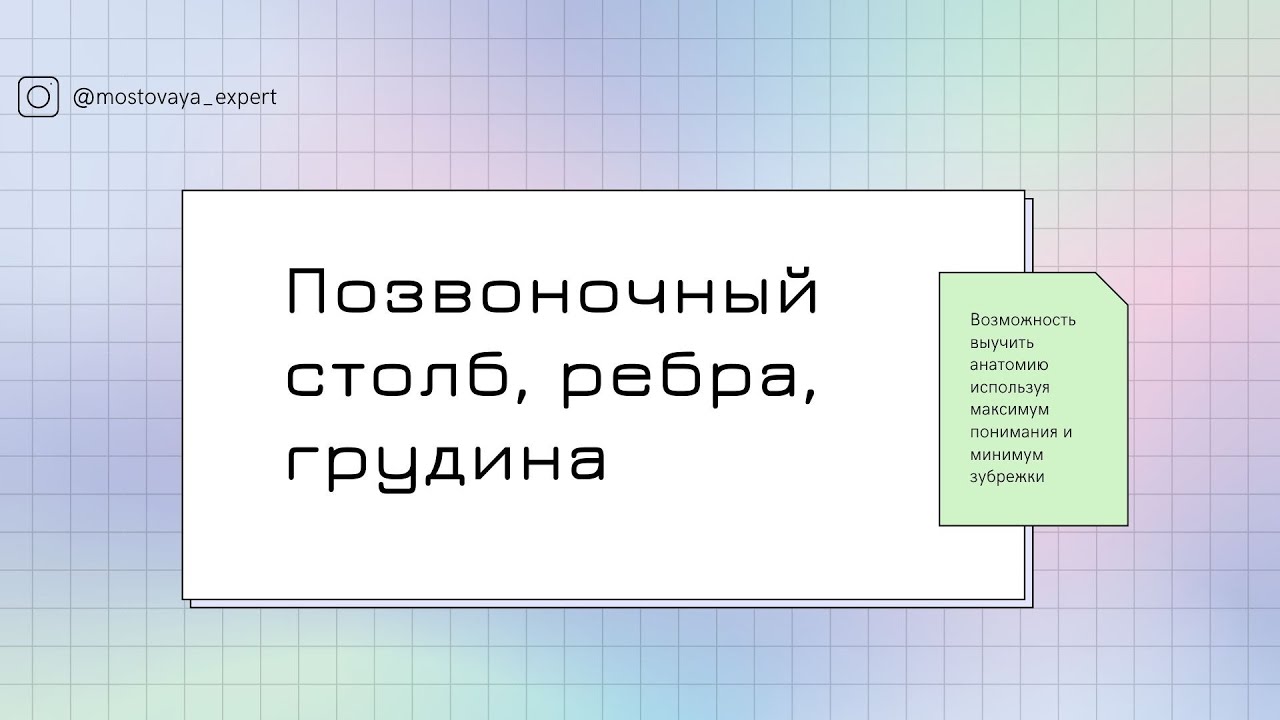 Кости осевого скелета