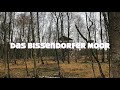 Das Bissendorfer Moor   Nov 2021  HD