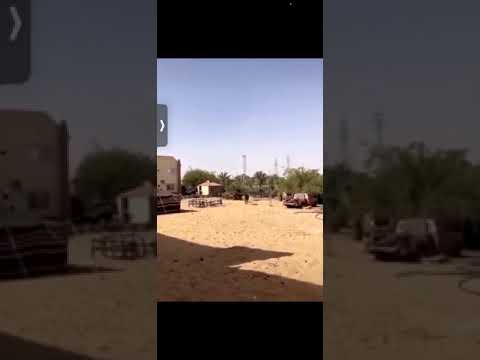 رياكشن يا مرحبا يا دهر قلبي ورجعانه