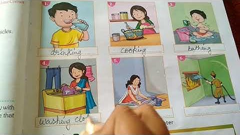 EVS/Grade-2/Ch-7/We All Need Water.