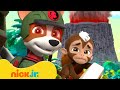 Pups Rescue Jungle Animals From a Volcano! | PAW Patrol | Nick Jr. UK