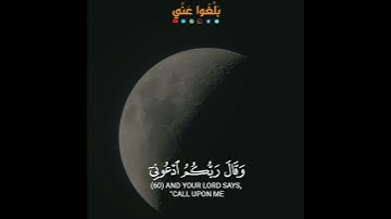 القارئ أحمد بن عبد العزيز النفيس❤️ سورة غافر وقال ربكم ادعوني استجب لكم