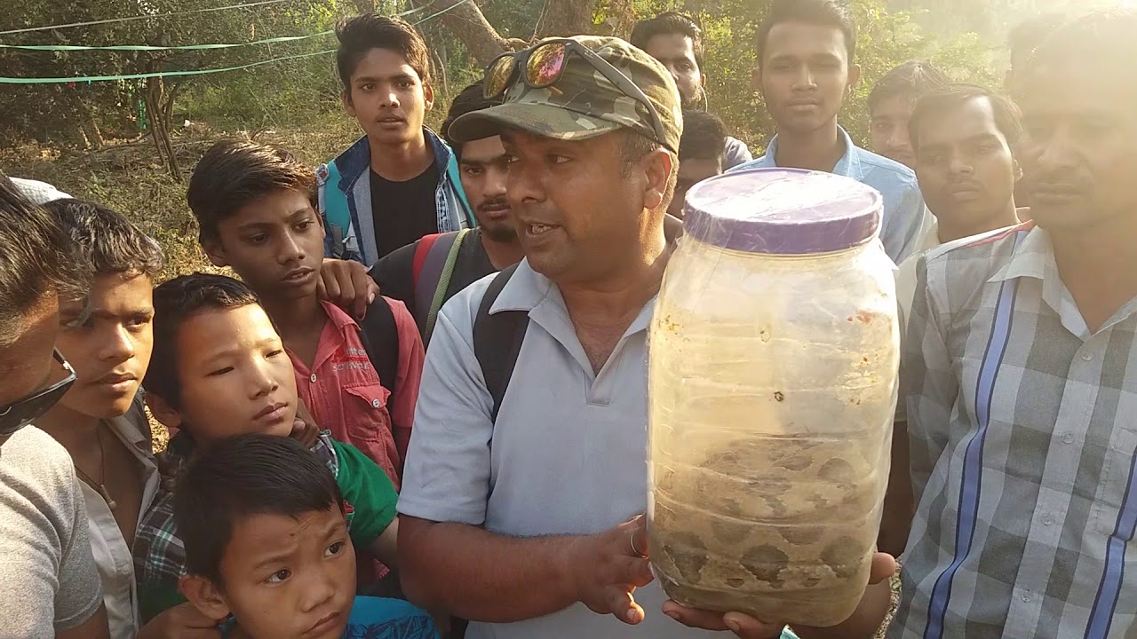 camera iphone 8 plus apk Russell's Viper Rescue by Vapi Team