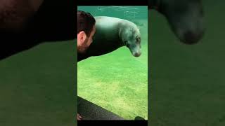 Animals acting crazy tiktok joe_rain0