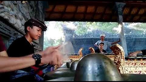 Reong hujan mas lucu