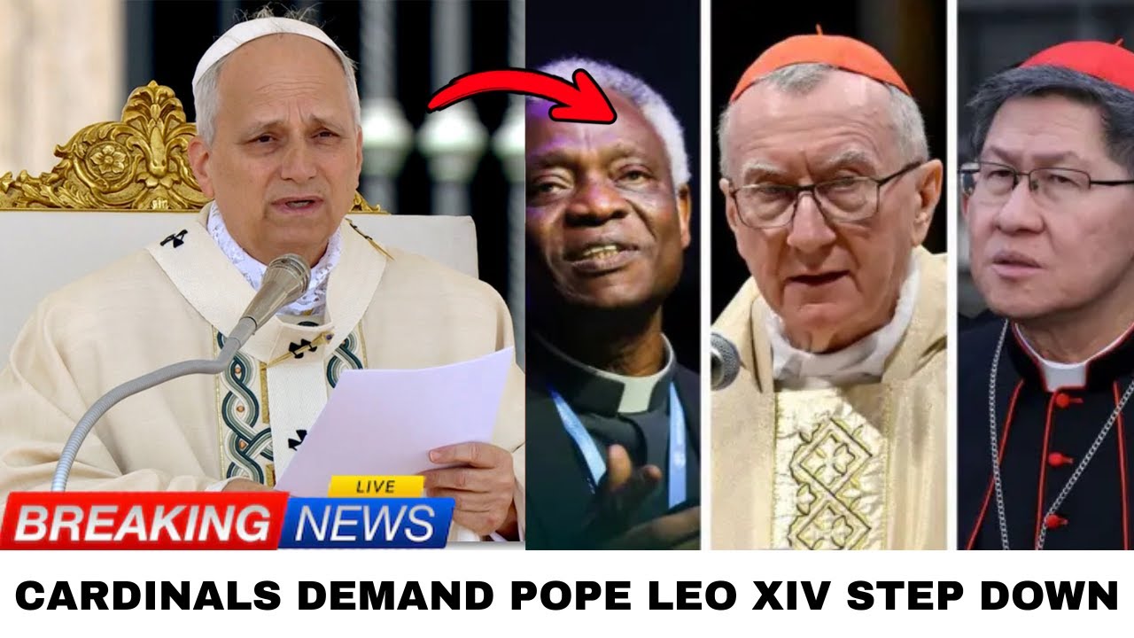Cardinals demand Pope Leo XIV step down — his calm response throws the  entire Vatican into chaos - YouTube