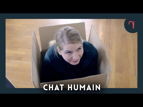 Chat humain -