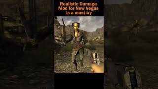 Realistic Damage Mods are a must try for Fallout : New Vegas  #falloutnewvegasmemes