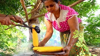 Sri Lanka Village Food - JACKFRUIT CURRY in Sigirya! Eating SRI LANKAN Food in a Tree House!!