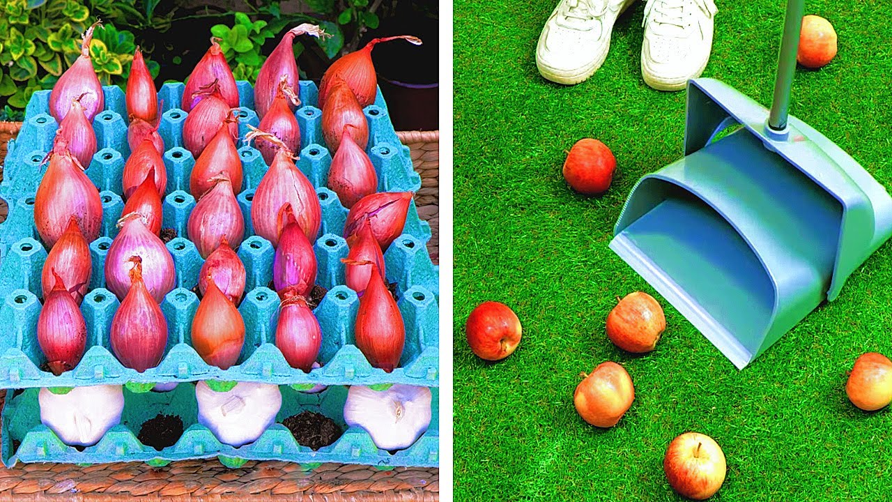 27 REMARKABLE IDEAS for growing plants and harvesting