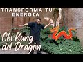 Transforma tu energa qi gongchi kung del dragn para la vitalidad y serenidad