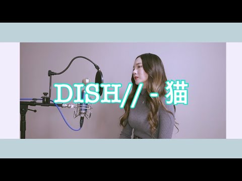 *韓国人が歌ってみた* DISH// - 猫 [covered by 君の願いは]