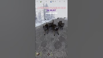 #rust #facepunch #rustgame #rustpc #rustconsole #zerg #gaming #rustclips #rusttok