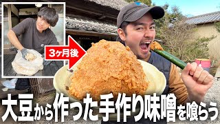 【爆食い】3ヶ月かけた最高傑作。0から大豆を発酵させて作ったオリジナル味噌で作る料理がウマすぎて仰天…！