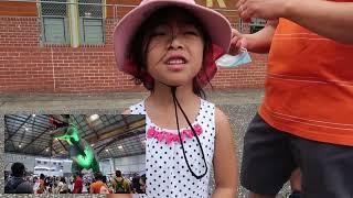DINO FESTIVAL