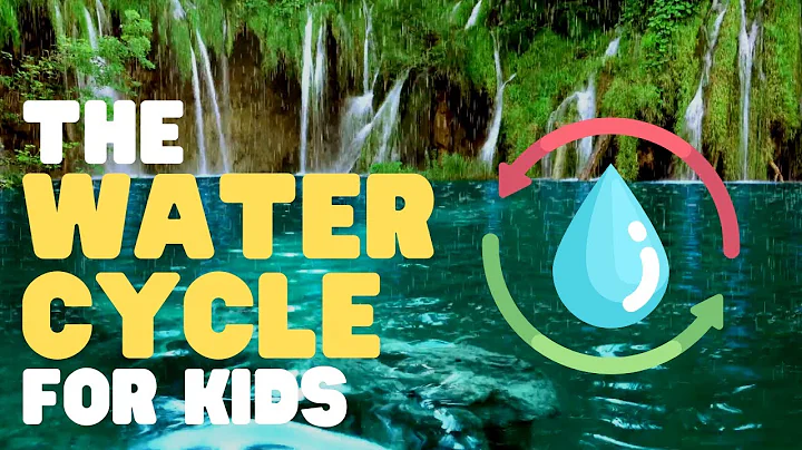 The Water Cycle for Kids | Learn all about the water cycle - DayDayNews