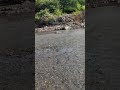 مناضر من وادي الجنات في منطقة السحول محافظة أب مناضر من وادي الجنات في منطقة السحول محافظة أب