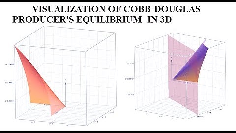 VISUALIZING COBB-DOUGLAS PRODUCER’S EQUILIBRIUM IN 3D