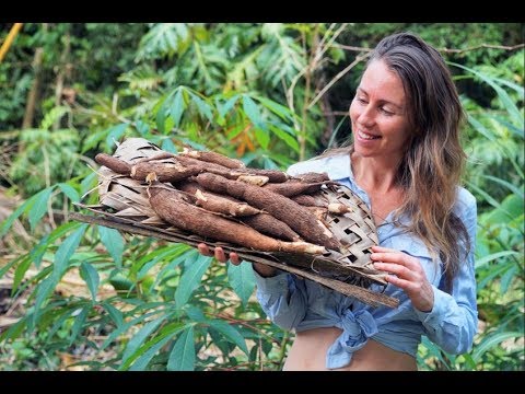 Video: Growing Yucca At Home